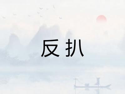 反扒
