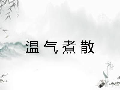温气煮散