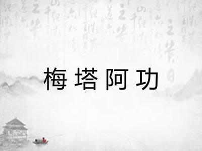 梅塔阿功