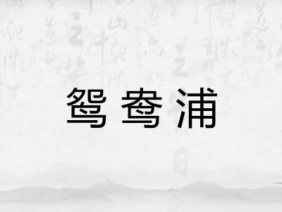 鸳鸯浦