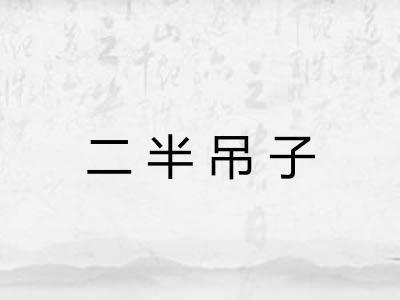 二半吊子