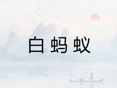 白蚂蚁
