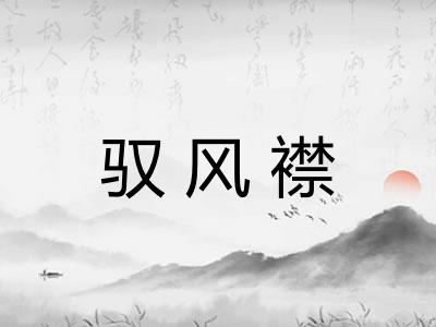 驭风襟