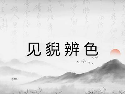 见貎辨色