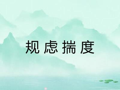 规虑揣度