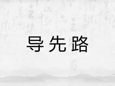 导先路