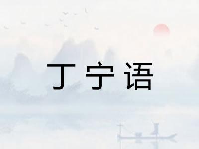 丁宁语