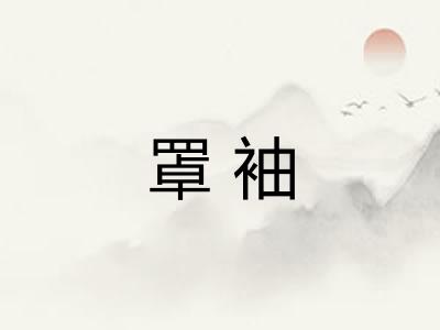 罩袖