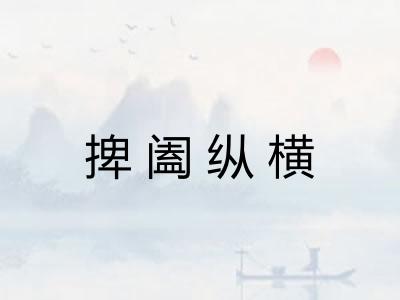 捭阖纵横