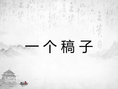 一个稿子
