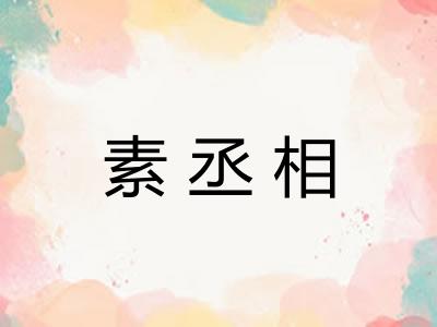 素丞相