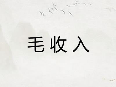 毛收入
