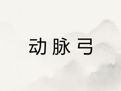 动脉弓