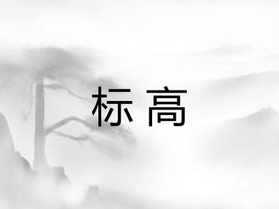 标高
