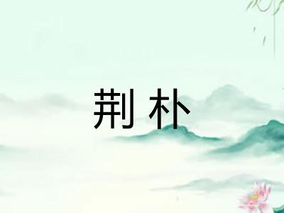 荆朴