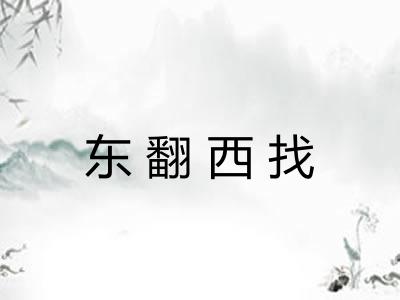 东翻西找