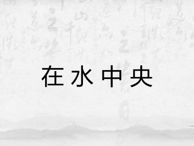 在水中央