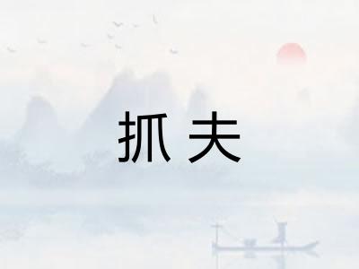 抓夫