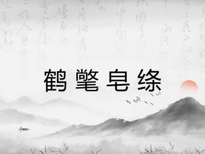 鹤氅皂绦