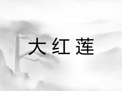 大红莲