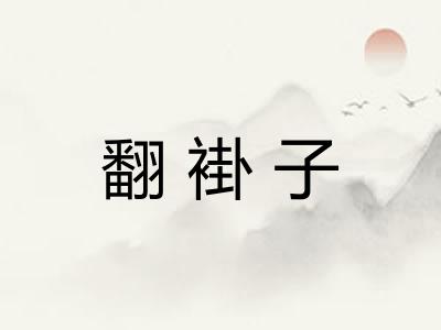 翻褂子