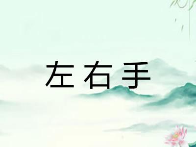 左右手