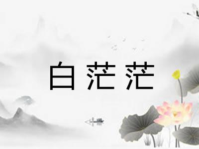 白茫茫