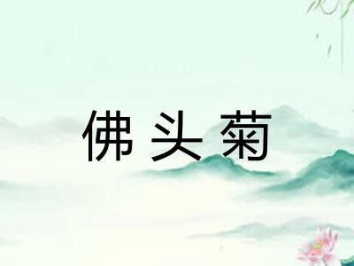 佛头菊