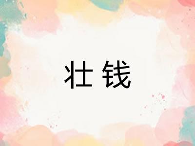 壮钱