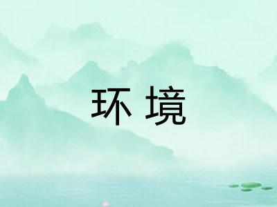环境