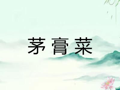 茅膏菜