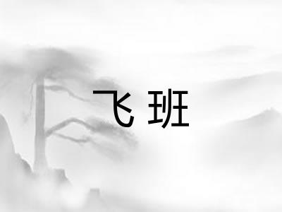 飞班