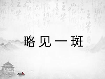 略见一斑