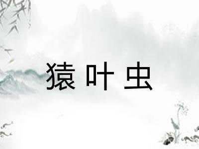 猿叶虫