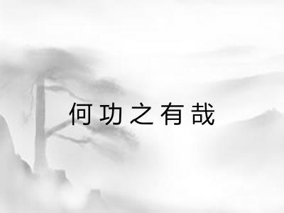 何功之有哉