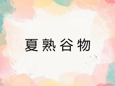 夏熟谷物