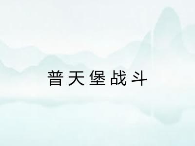 普天堡战斗