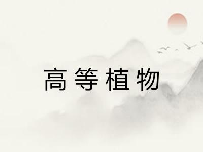 高等植物