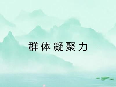 群体凝聚力