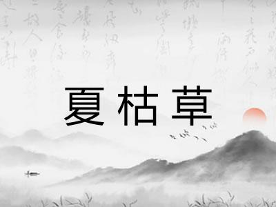 夏枯草