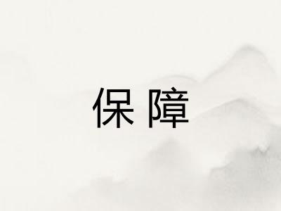 保障