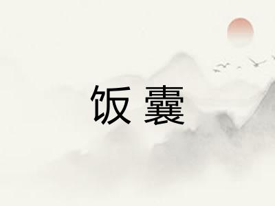 饭囊
