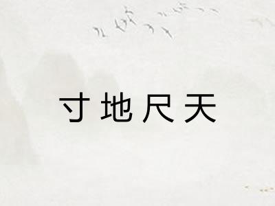 寸地尺天
