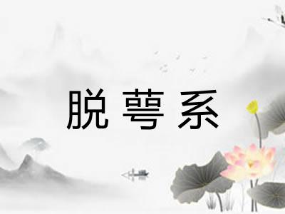 脱萼系