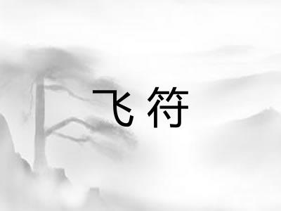 飞符
