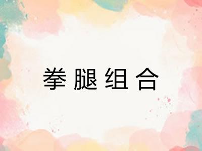 拳腿组合