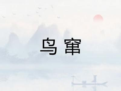 鸟窜