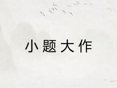 小题大作