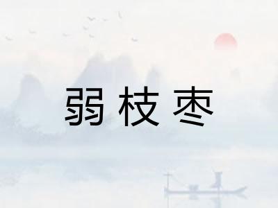 弱枝枣