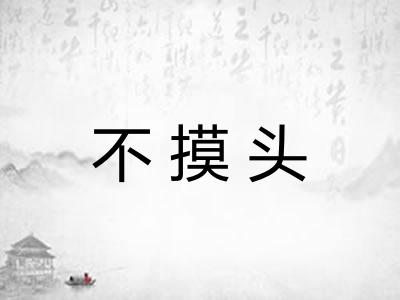 不摸头